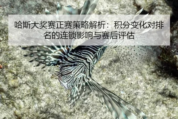 ha-si-da-jiang-sai-zheng-sai-ce-lve-jie-xi-ji-fen-bian-hua-dui-pai-ming-de-lian-suo-ying-xiang-yu-sai-hou-ping-gu-2-299.jpg