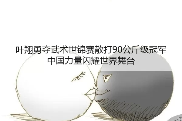 叶翔勇夺武术世锦赛散打90公斤级冠军中国力量闪耀世界舞台